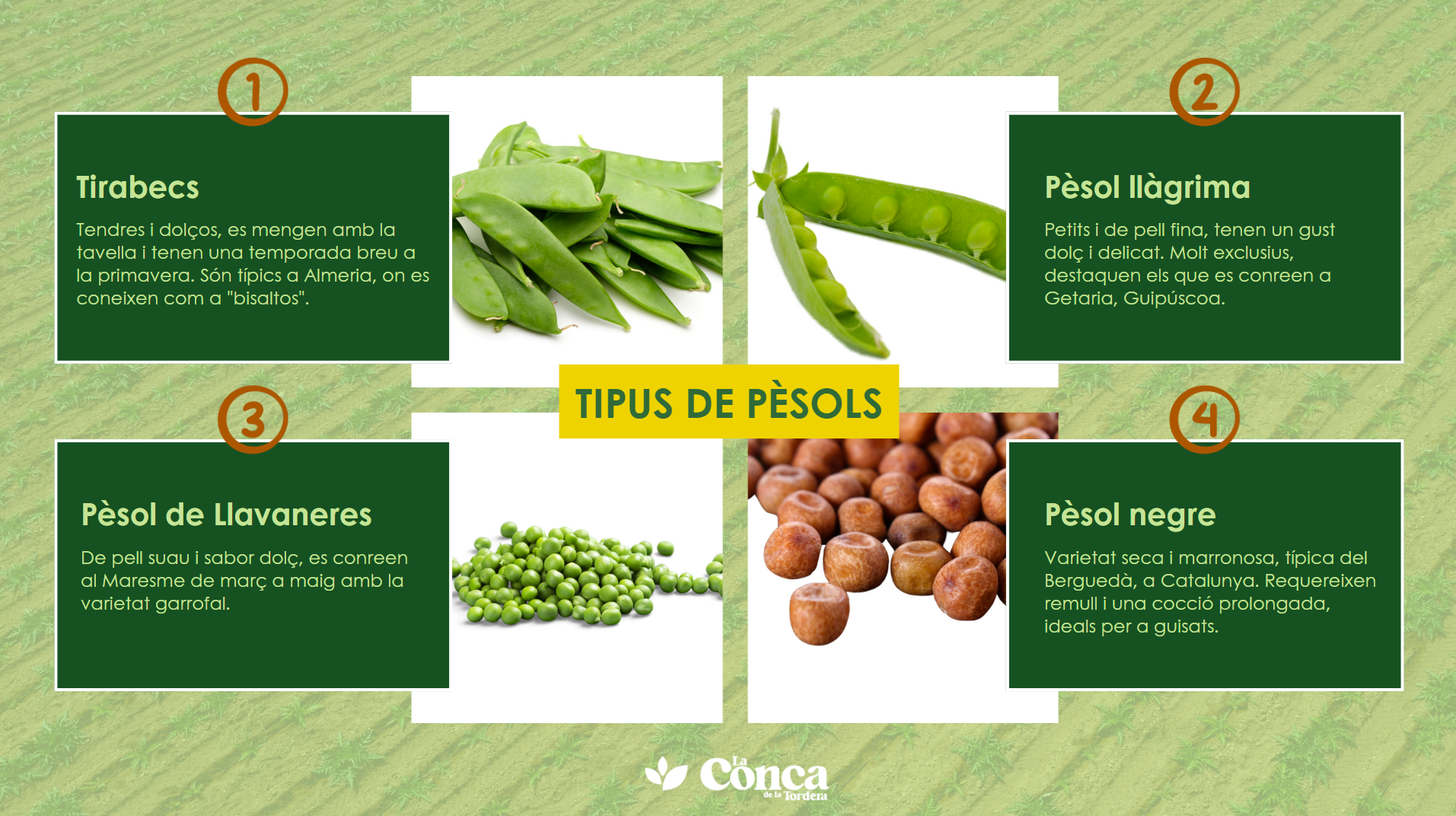 Què són els pèsols