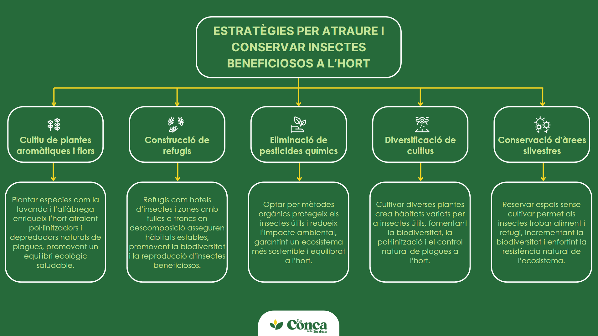 insectes beneficiosos per a l'hort - conca de la tordera
