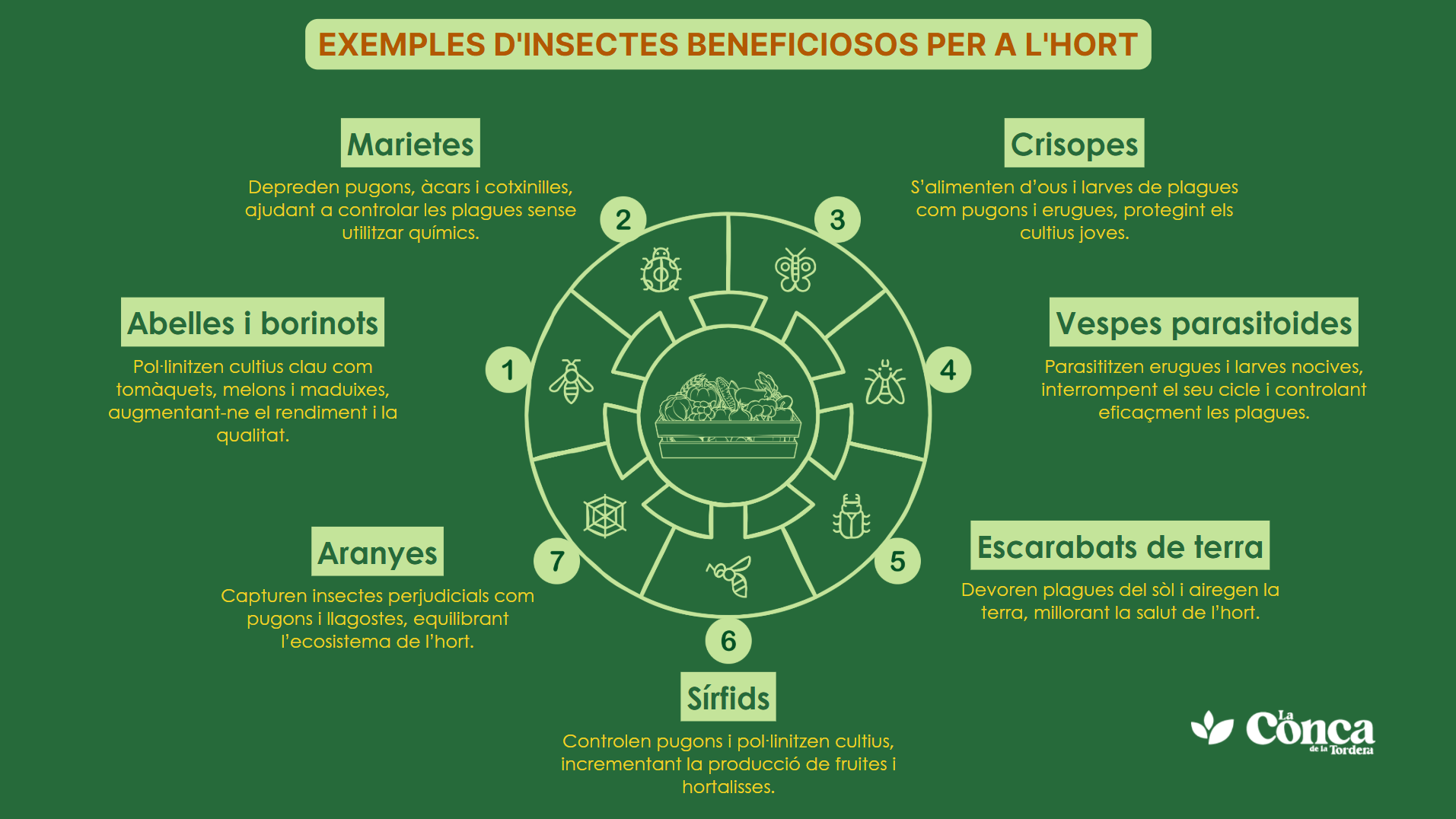 insectes beneficiosos per a l'hort