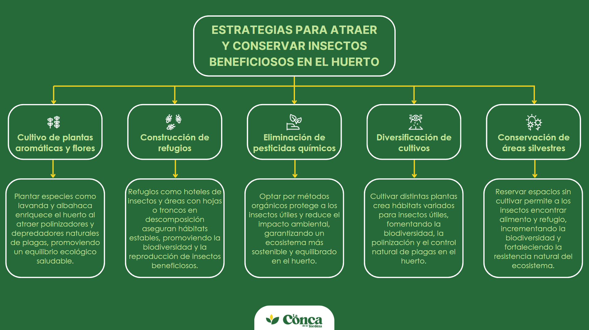 insectos beneficiosos para el huerto - conca de la tordera