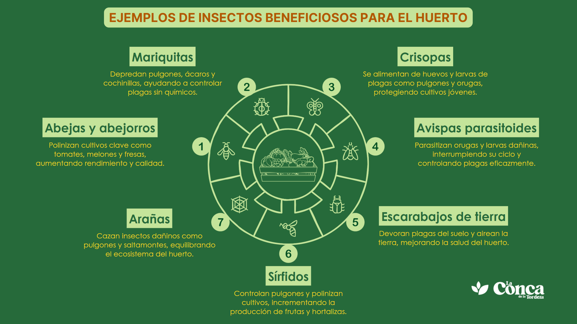 insectos beneficiosos para el huerto infografía