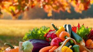 verduras de otoño - conca de la tordera