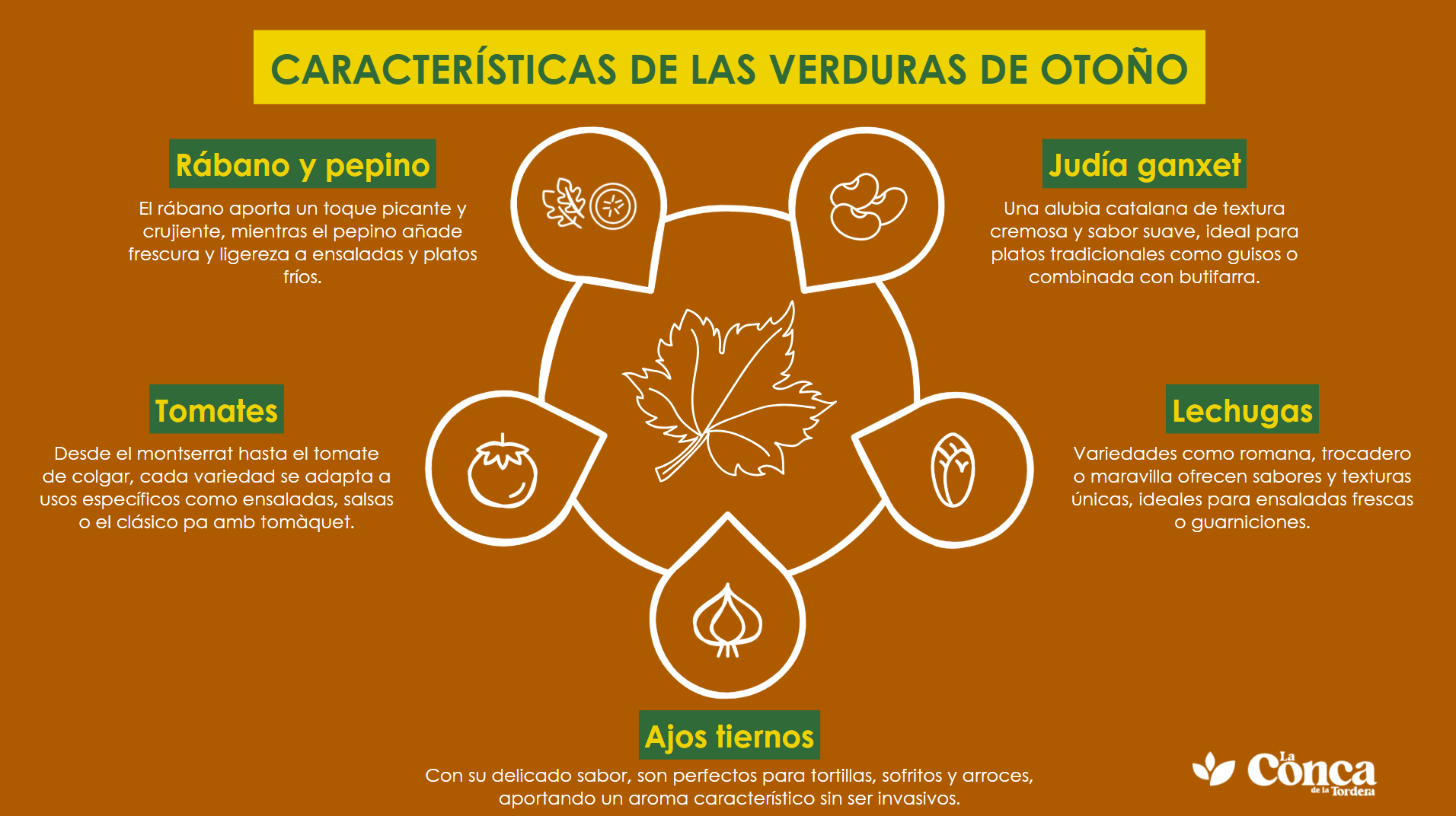 verduras de otoño infografía