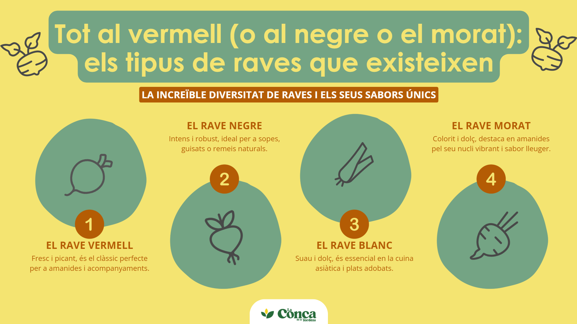 rave infografia - conca de la tordera