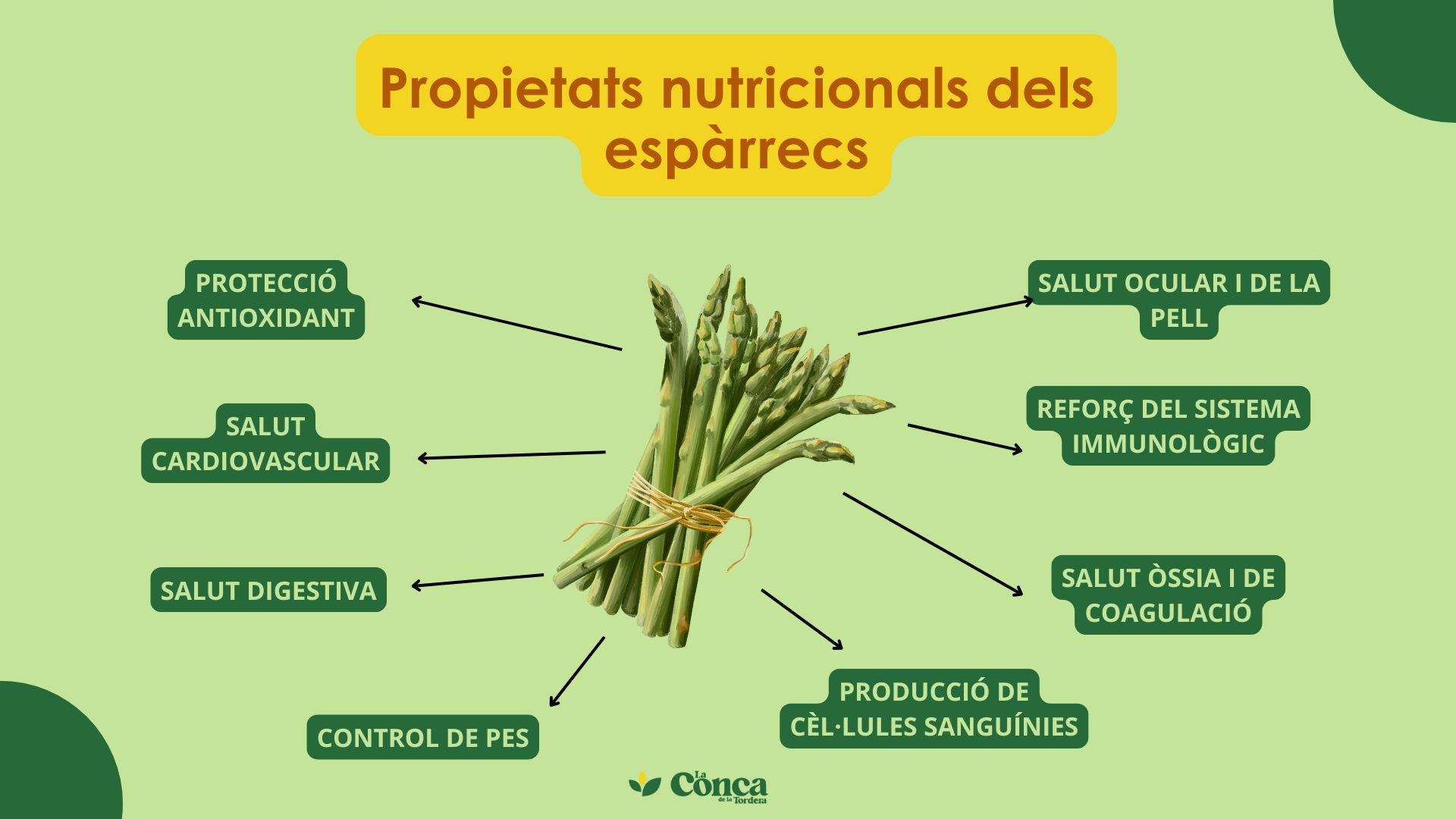 espàrrecs verds