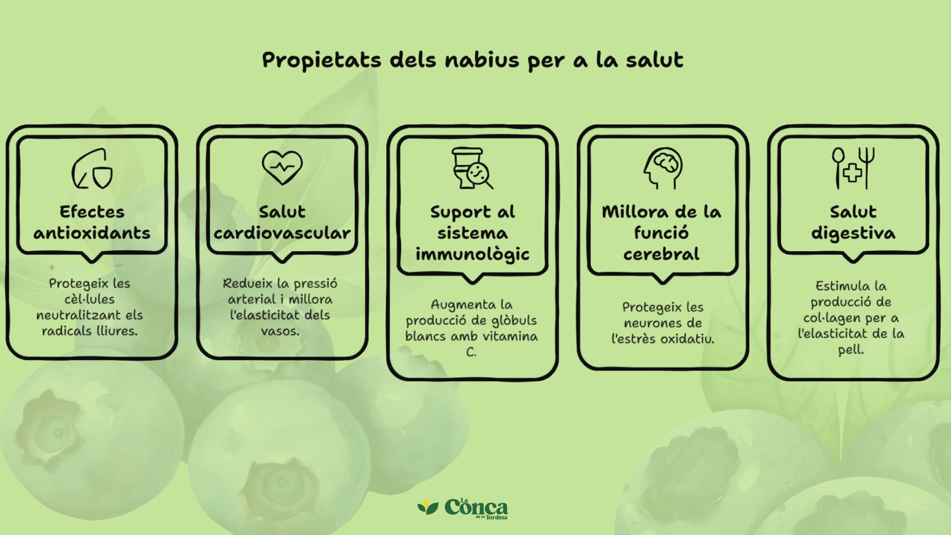 espàrrecs verds