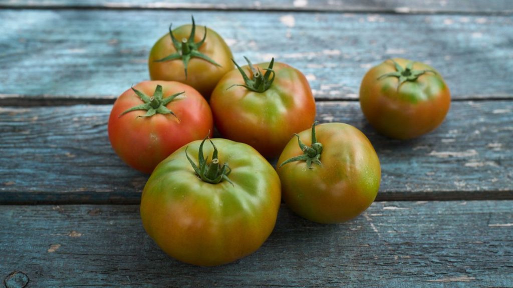 tomates verdes
