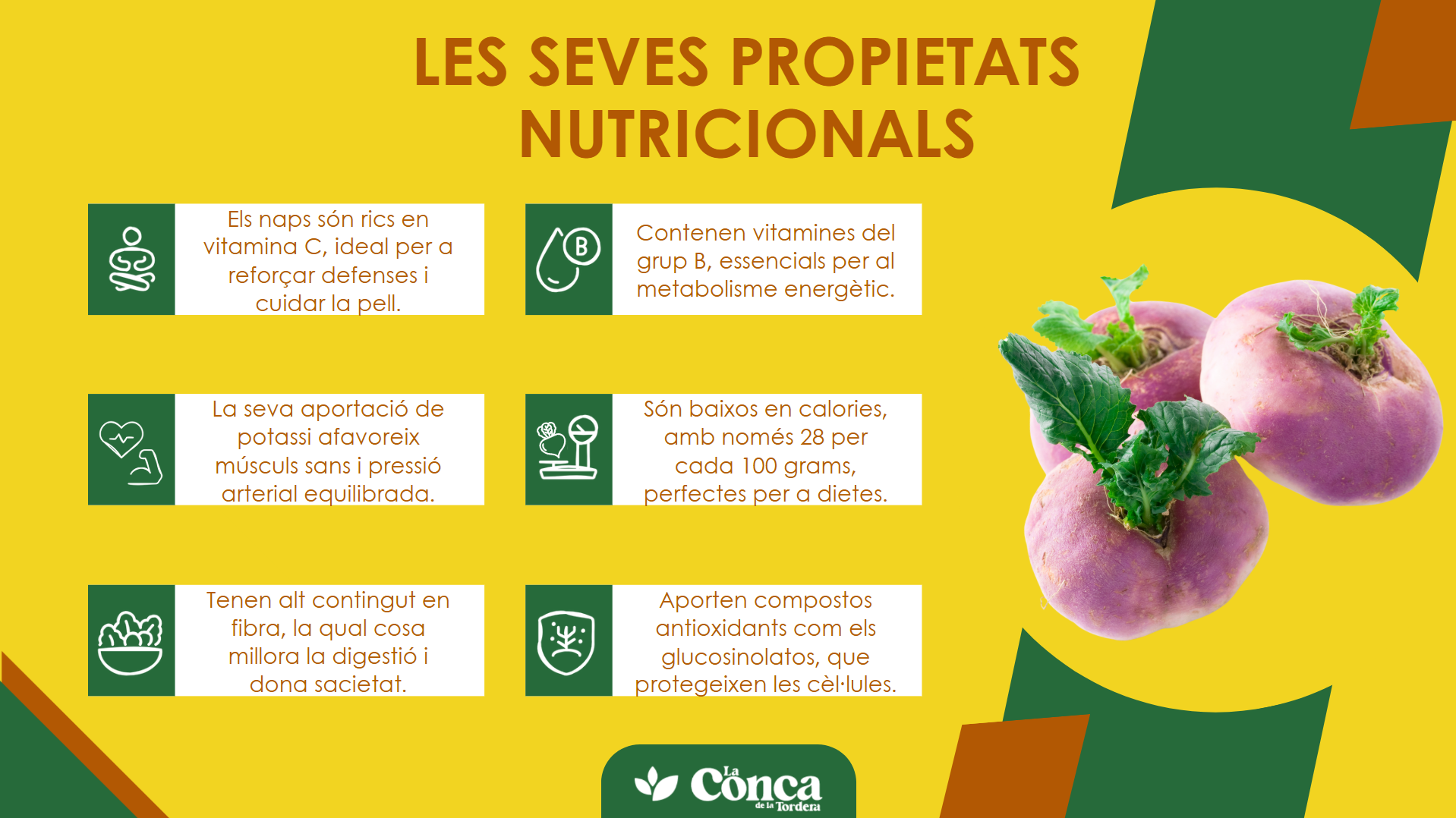 infografia naps