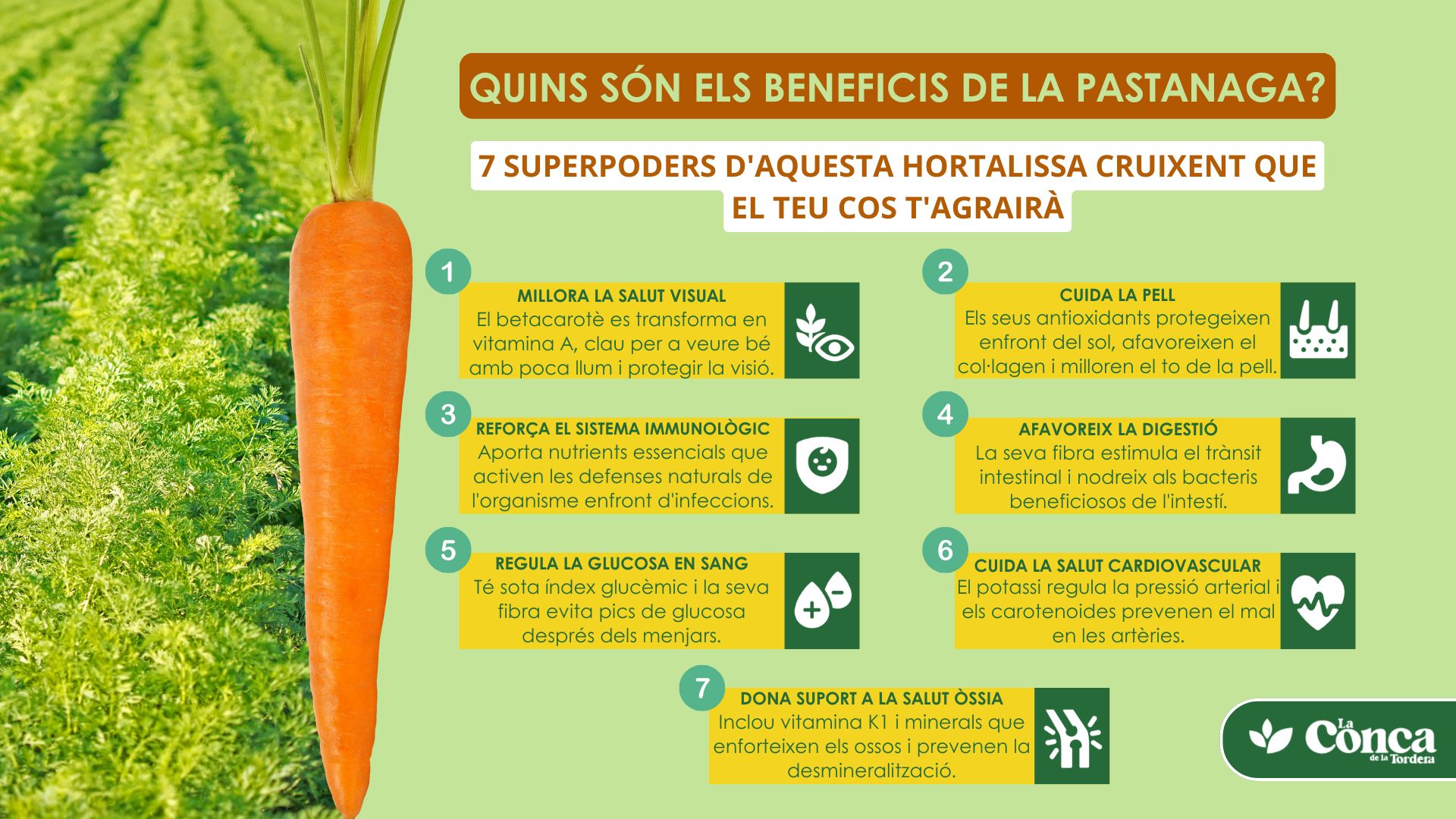 Quins són els beneficis de la pastanaga