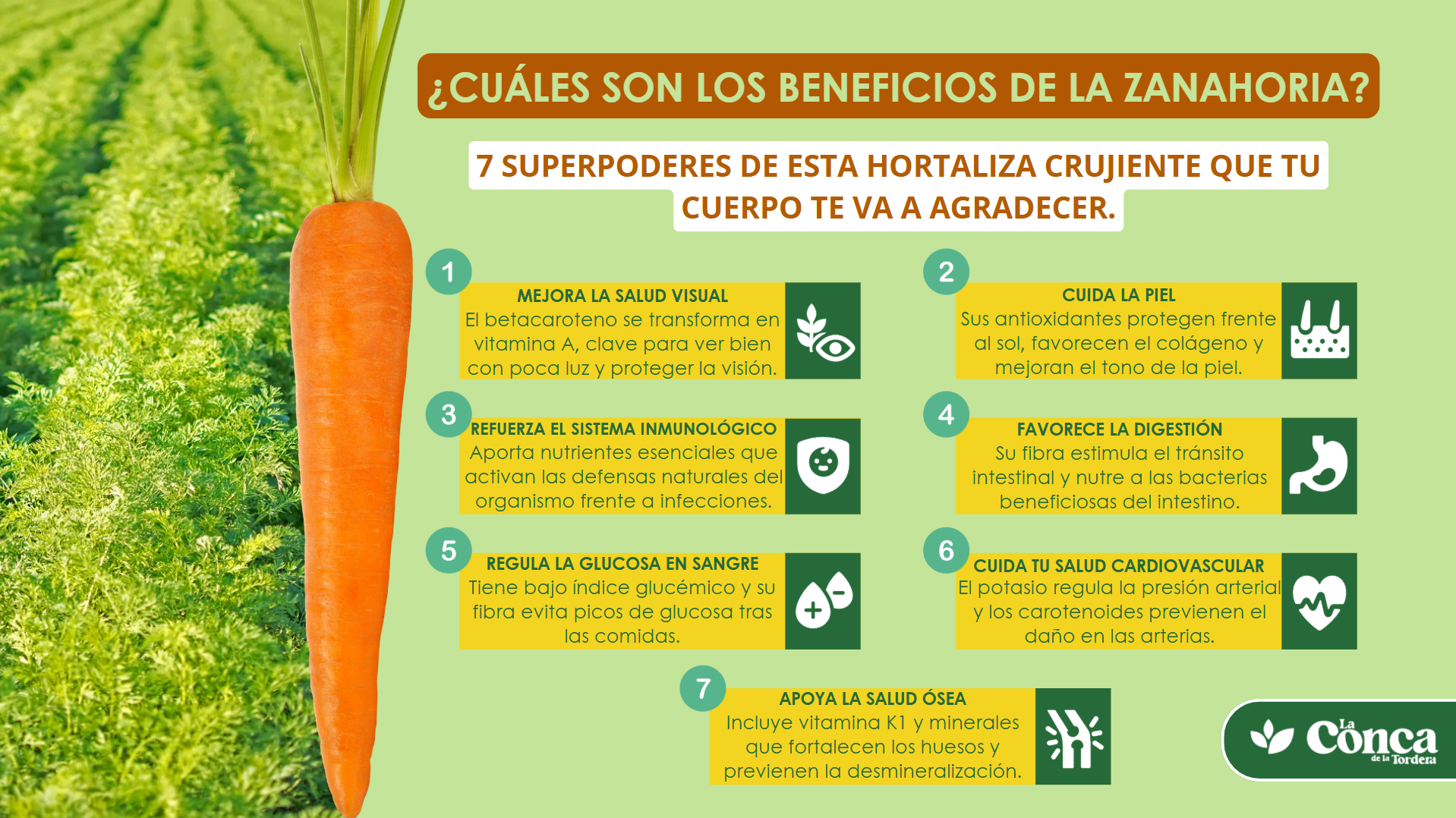 beneficios de la zanahoria infografía