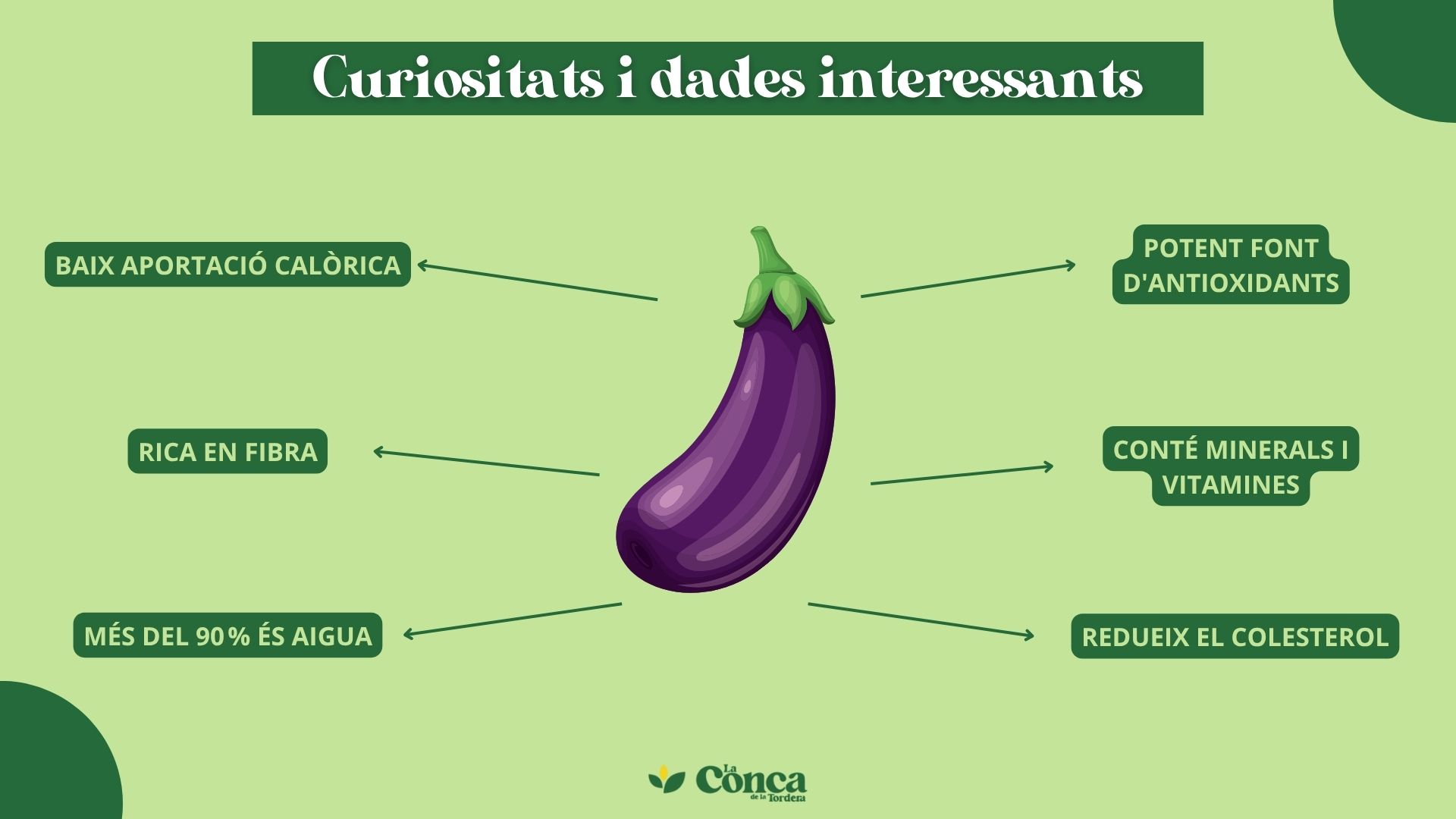 Conca de la Tordera - Curiositats i dades interessants