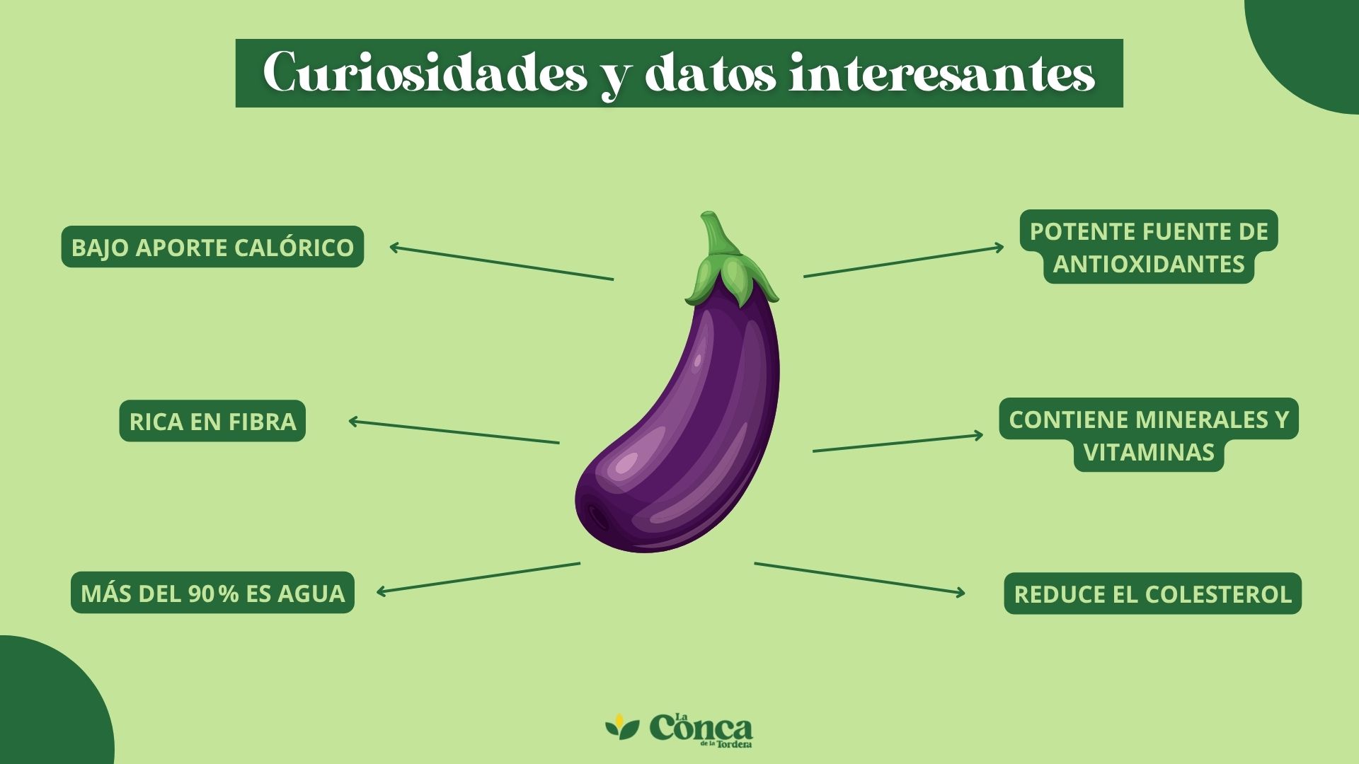 Curiosidades y datos interesantes de la Berenjena