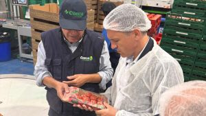La Cooperativa Conca de la Tordera rep la visita del conseller d’Agricultura Òscar Ordeig