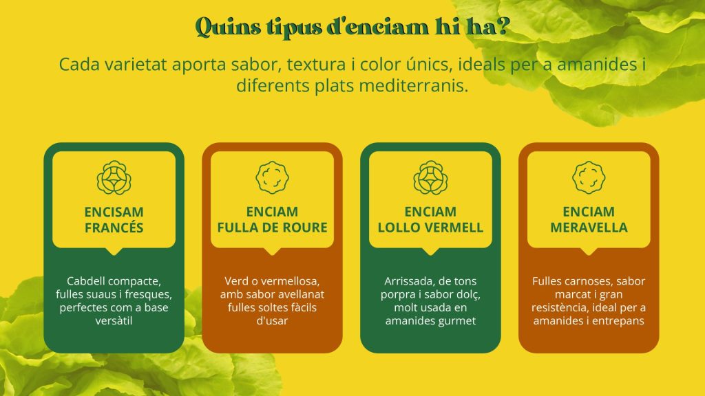tipus d´enciam